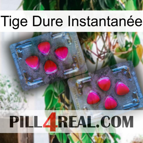 Tige Dure Instantanée 15.jpg